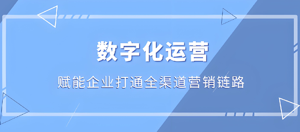 武荣网络：塑造企业数字形象，提升网络营销效益