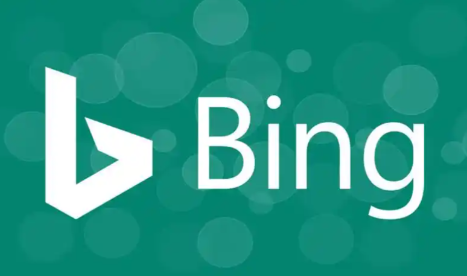 Bing突然降权常见吗？