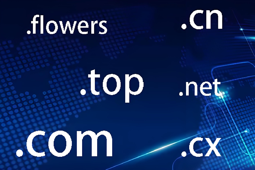 .com与.top域名收录差在哪？top域名1月未收录