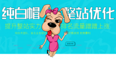 纯白帽整站优化，提升整站实力，价格亲民效果好